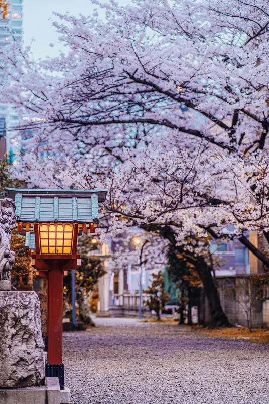 Earl.Tokyo Premium Domain